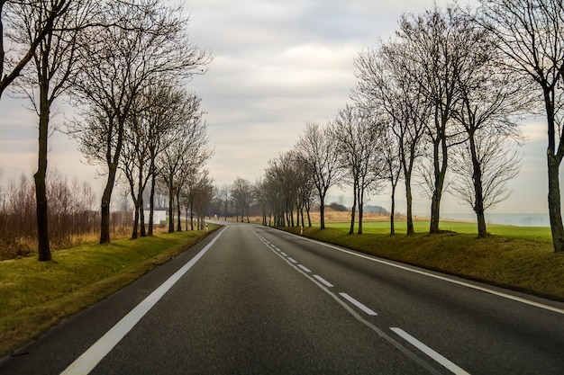 Bobina curva della strada campestre a due corsie attraverso gli alberi.