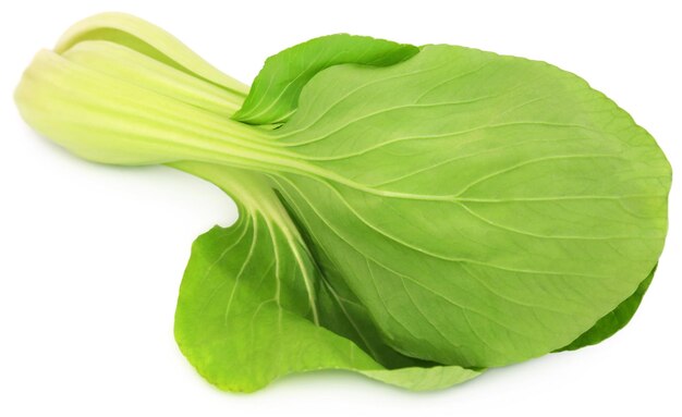 Bok Choy biologico su sfondo bianco