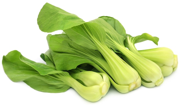 Bok Choy biologico su sfondo bianco