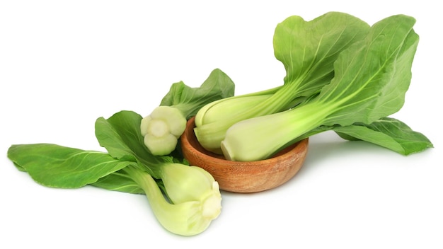 Bok Choy biologico su sfondo bianco