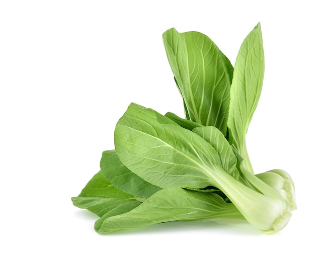 Bok choy (cavolo cinese) isolato su sfondo bianco