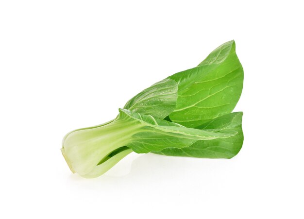 Bok choy (cavolo cinese) isolato