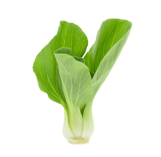 Bok choy o cavolo cinese isolato