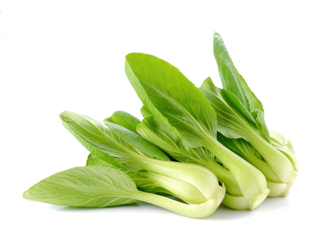 Bok choy su sfondo bianco.