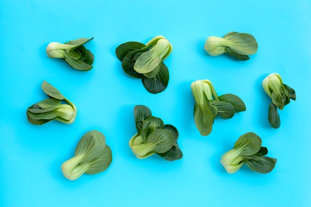 Bok choy sulla parete blu.