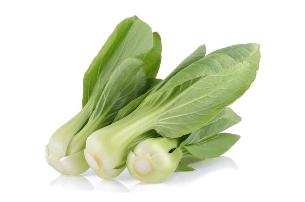 Bok choy vegetale isolato su sfondo bianco