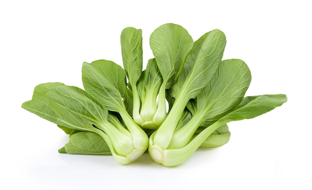 Bok choy vegetale su sfondo bianco