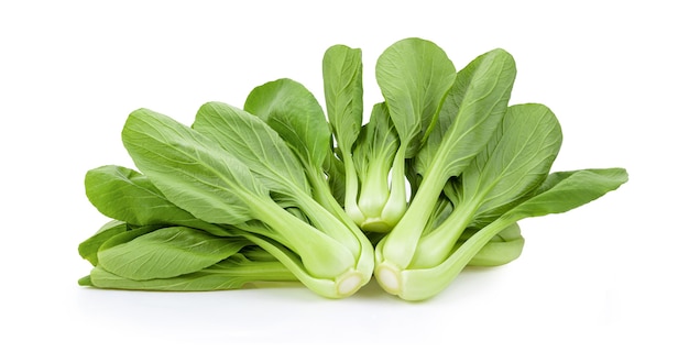 Bok choy vegetale su sfondo bianco