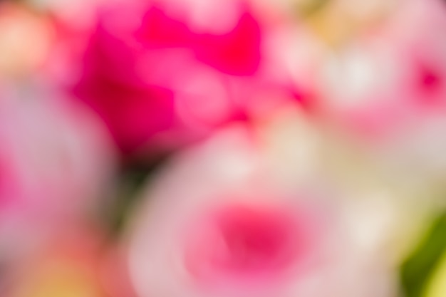 Bokeh astratto e sfondo sfocato di natura bianca e rosa