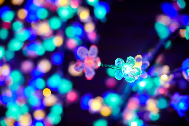 Bokeh di luci colorate da ghirlande di fiori luminosi decorativi alle luci multicolori delle vacanze