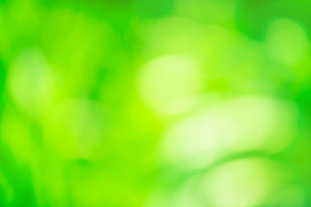 Bokeh luci verdi sulla trama Movimento sfocato fuori fuoco sullo sfondo verde