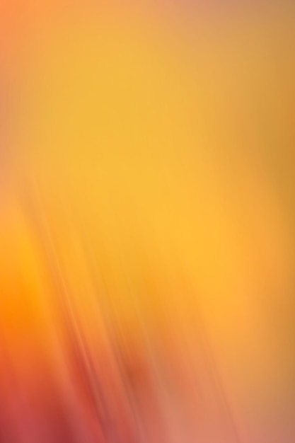 Bokeh su sfondo sfocato arancione giallo dorato