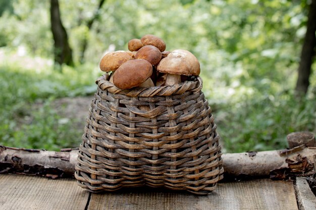 Boletus del fungo sopra fondo di legno. Funghi Porcini Autunnali. Porcini Boletus edulis su sfondo di legno, vicino sul tavolo in legno rustico. Cucinare deliziosi funghi biologici. Cibo gourmet.