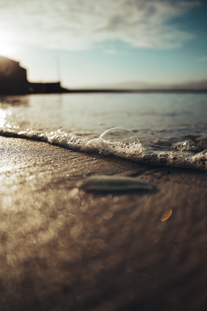 bolla in riva al mare