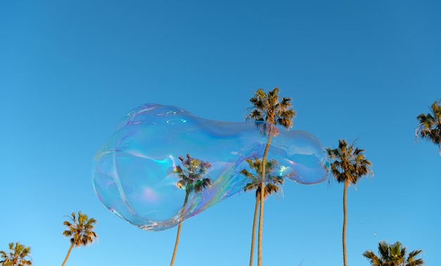 Bolle di sapone per le vacanze estive cielo e palme paesaggio urbano enorme bolla di sapone soffiatore volare bolla tra le palme