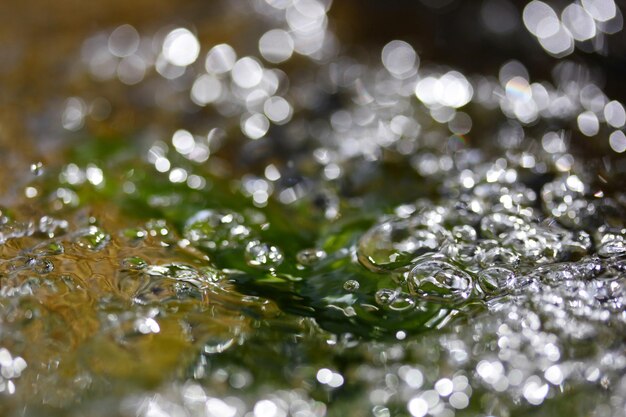 Bolle nell'acqua Sfondo dell'acqua