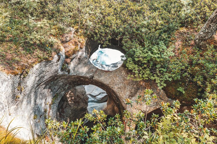 Foto bollitore del gigante
