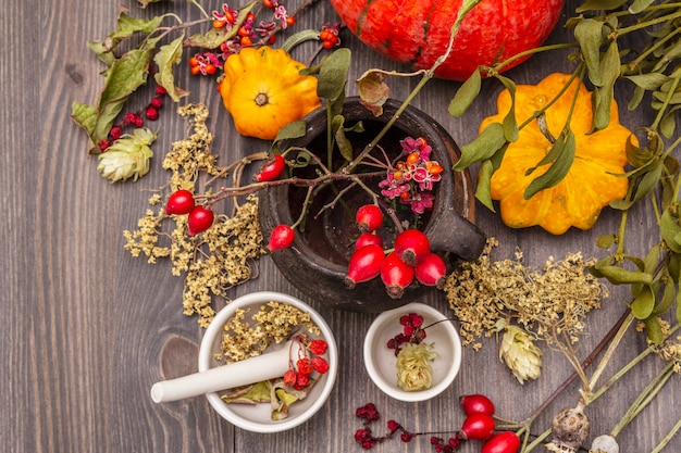 Bombetta da strega, vischio, sambuco. Erbe secche, fiori, bacche fresche