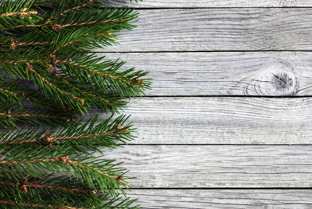 Bordo dei rami dell'albero di Natale su fondo di legno