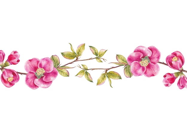Bordo di fiori di ciliegio rosa.