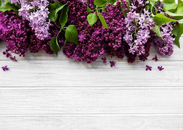 Bordo di fiori di primavera lilla