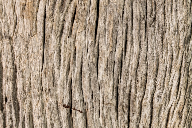 Bordo di legno incrinato Grungy dal fondo strutturato del primo piano