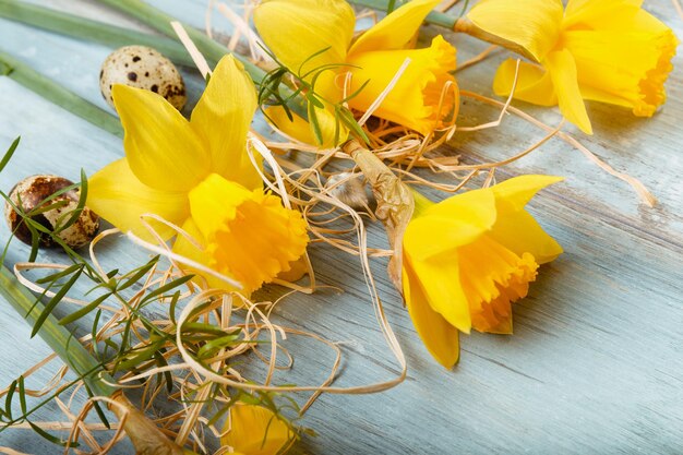 Bordo floreale primaverile bellissimi fiori freschi di narcisi e uova di Pasqua sulla scrivania in legno blu Sfondo di Pasqua Messa a fuoco selettiva Sfondo con spazio copia piatto vista dall'alto Concetto di giorno di Pasqua