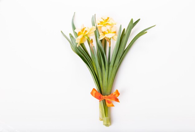 Bordo floreale primaverile bellissimi fiori freschi di narcisi isolati su sfondo bianco Messa a fuoco selettiva