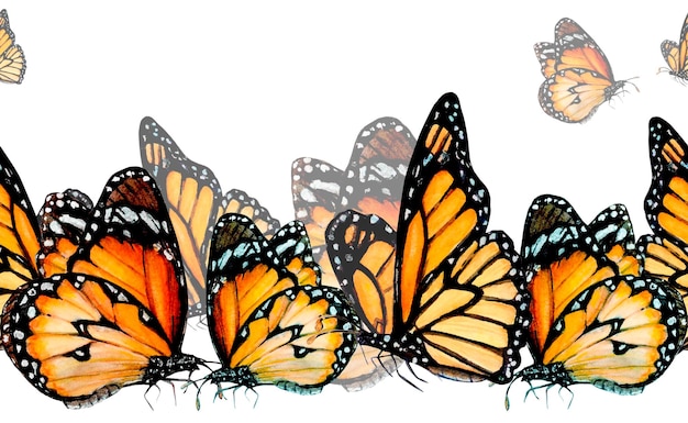 Bordo senza cuciture disegnato ad acquerello da bellissime farfalle arancioni di diverse dimensioni