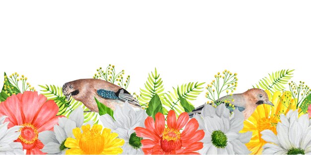 Bordo senza giunte dell'acquerello disegnato a mano con fiori da giardino zinnia e crisantemo con uccelli jay