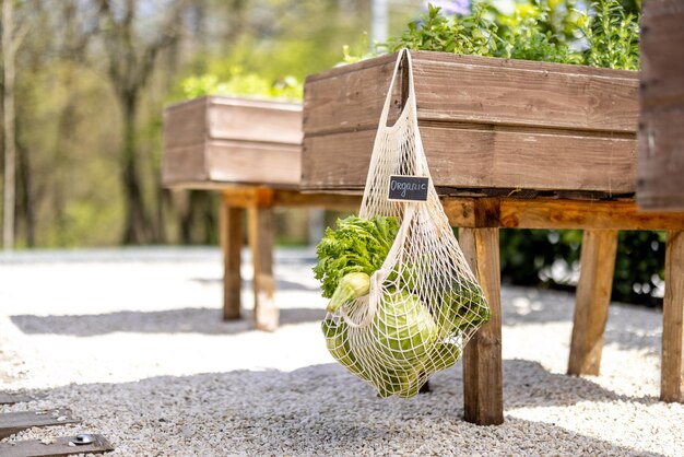 Borsa a rete piena di verdure fresche appese nell'orto di casa