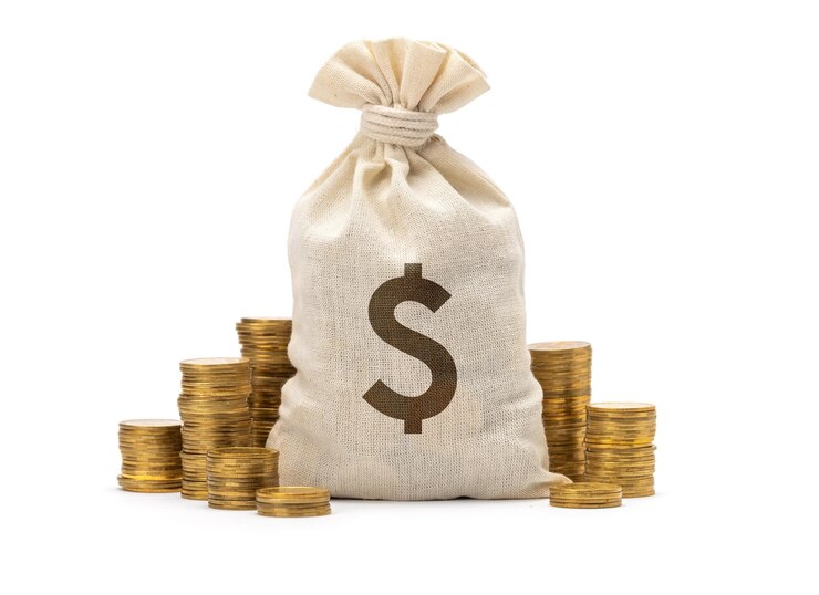 Borsa dei soldi con il simbolo del dollaro e pila di monete isolate su priorità bassa bianca