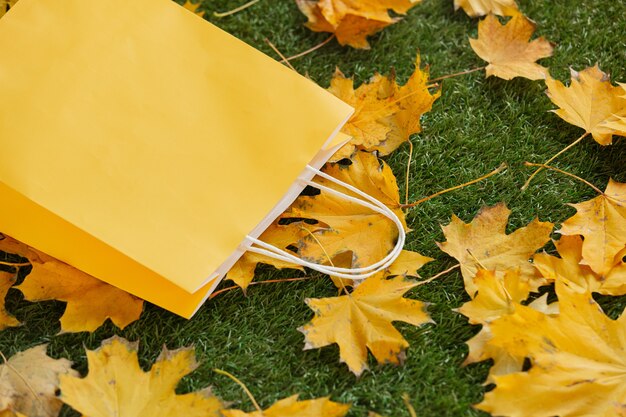 Borsa della spesa con foglie di acero su erba verde