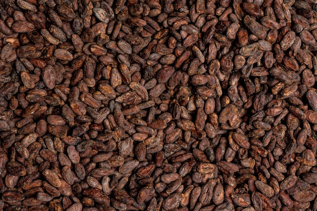 Borsa di tela con fave di cacao tostate importate
