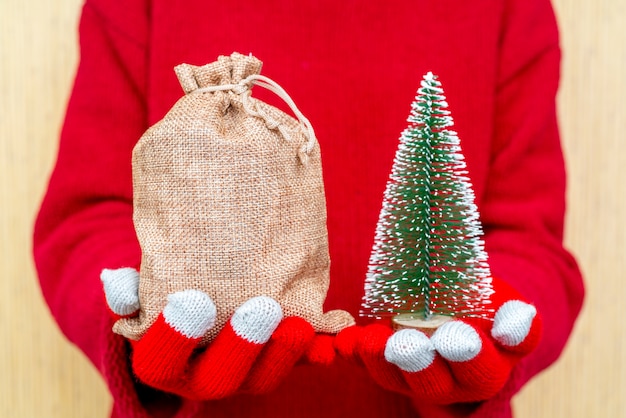 Borsa regali di Natale in mani femminili. Guanti a maglia rossi e un maglione.