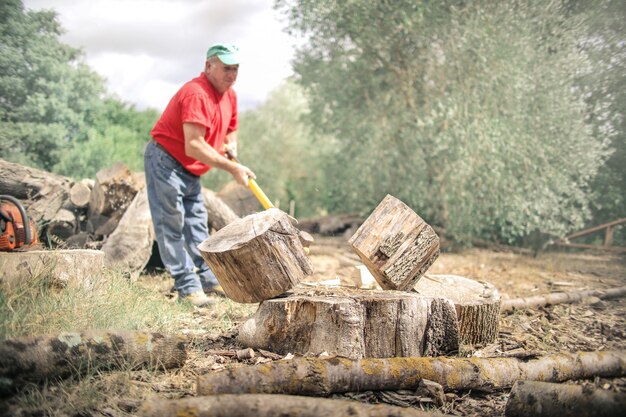 Boscaiolo al lavoro