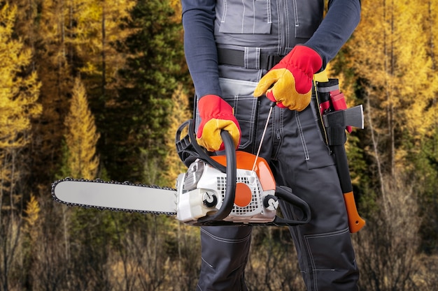 Boscaiolo con motosega contro la foresta di autunno.