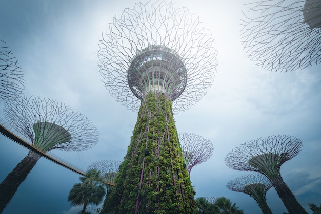 Boschetto di Supertree su cielo blu nel giardino dalla baia al giorno, Singapore.