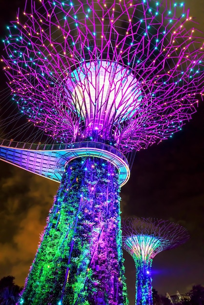 Boschetto di Supertrees di Gardens by the Bay nel centro di Singapore. È uno spettacolo di musica e luci quando gli alberi sono illuminati da diversi colori