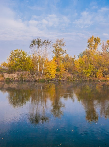 Bosco autunnale sulla sponda del fiume