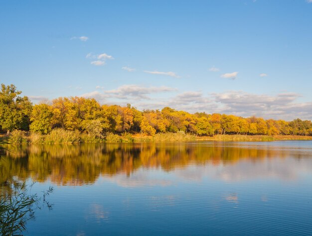 Bosco autunnale sulla sponda del fiume