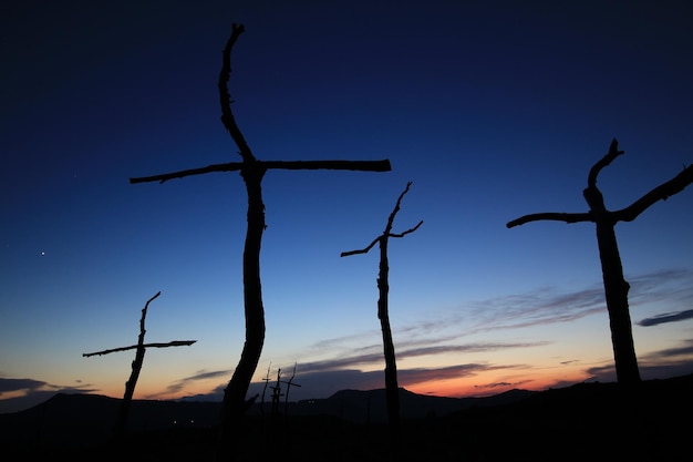 Bosco de les Creus