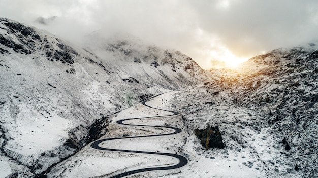 Bosco e strada dall'alto