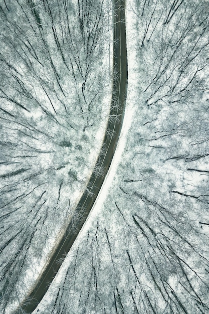 Bosco innevato con una strada. Vista aerea.