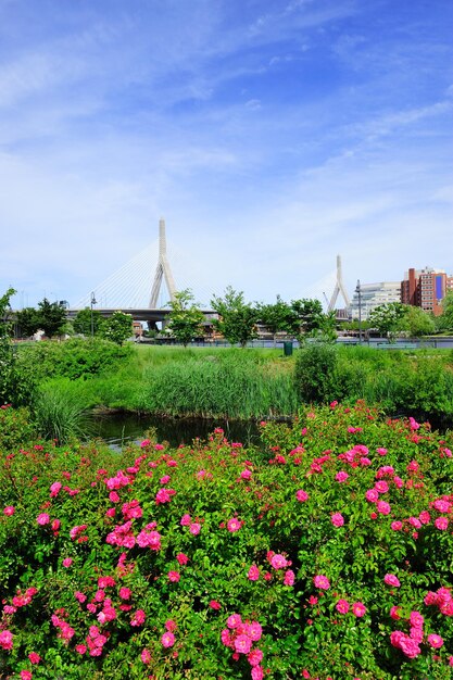 Boston Leonard P. Zakim Bunker Hill Memorial Bridge con cielo blu nel parco con fiori come famoso punto di riferimento.