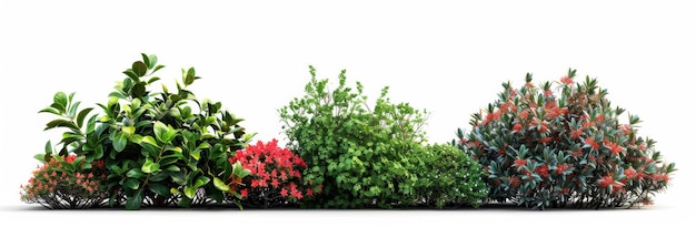 Botanical Diversity Vivid HyperRealistic Depiction of Mint Holly and Weigela Bushes in Varying Sizes