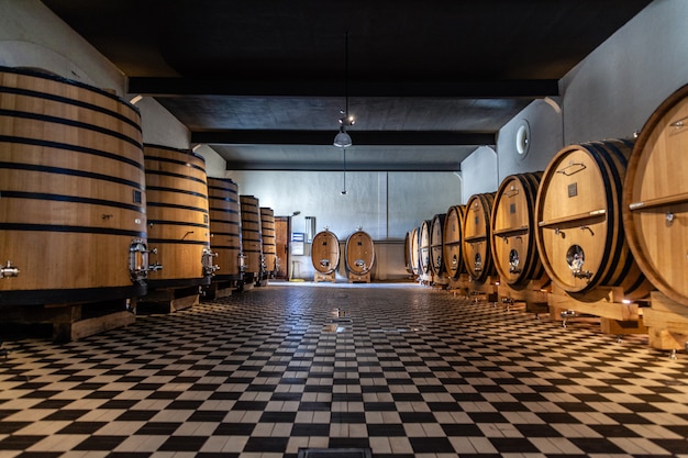 botti di legno in una fabbrica di vino