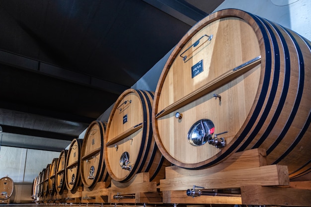 botti di legno in una fabbrica di vino