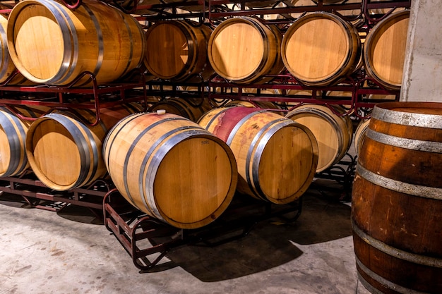 Botti di vino in una cantina in Spagna