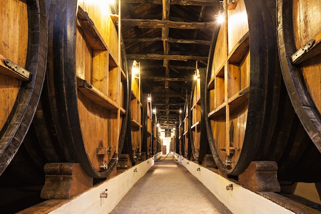 Botti in cantina, Porto, Portugal